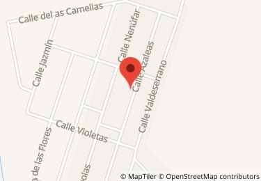 Vivienda en calle azaleas, 63, Villanueva de la Torre