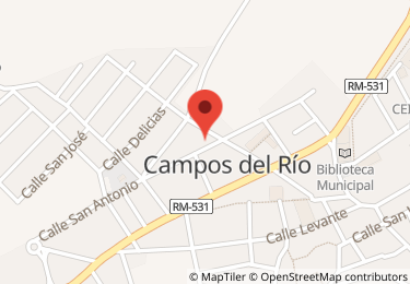 Local comercial en cañadicas de roquia, Campos del Río
