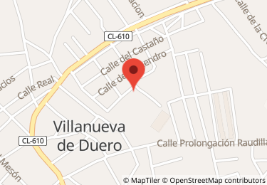 Vivienda en villanueva de duero, Villanueva de Duero