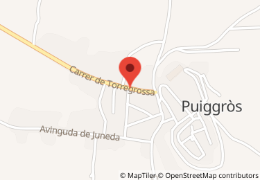 Vivienda en calle torregrossa, 17, Puiggròs