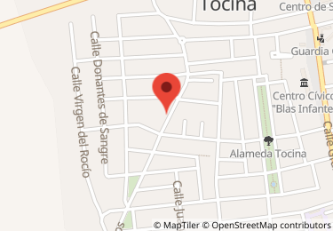 Nave industrial en calle virgen del carmen, 42, Tocina