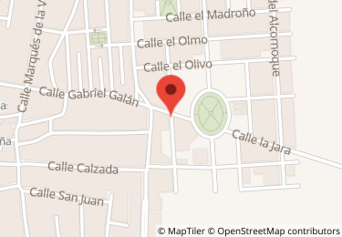 Trastero en calle el sauce, Puebla de la Calzada