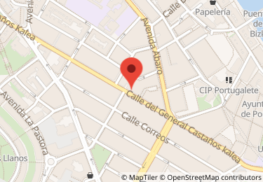 Local comercial en calle general castaños, 32, Portugalete
