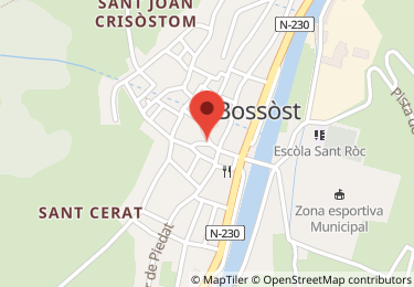 Local comercial en calle del lup, Bossòst