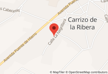 Nave industrial en calle negrillera, 87, Carrizo